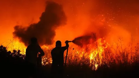 Лесной пожар в турецком Измире дошел до населенных пунктов