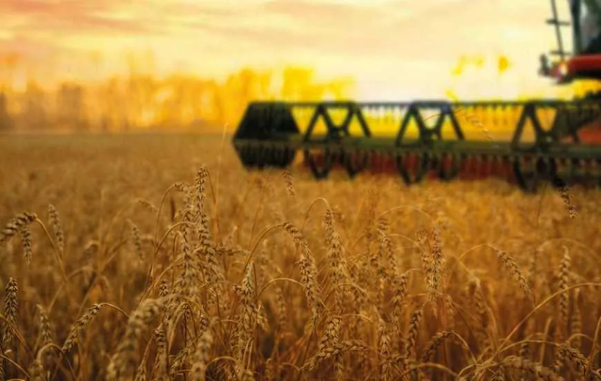 harvest-2024-ukrainian-farmers-have-already-harvested-157-million-tons-of-grains-and-oilseeds