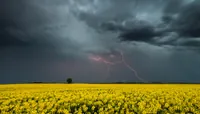 Короткочасні дощі та грози: якою буде погода в Україні 22 липня 