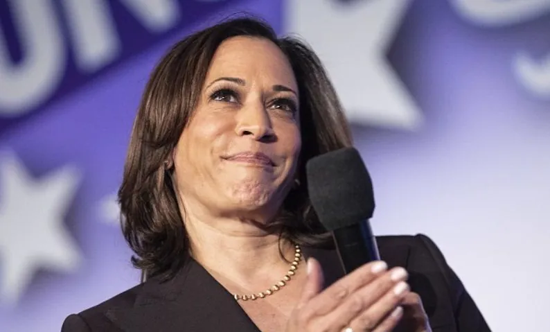 Democratic Party likely to set record for Kamala Harris' campaign fundraising - media outlet
