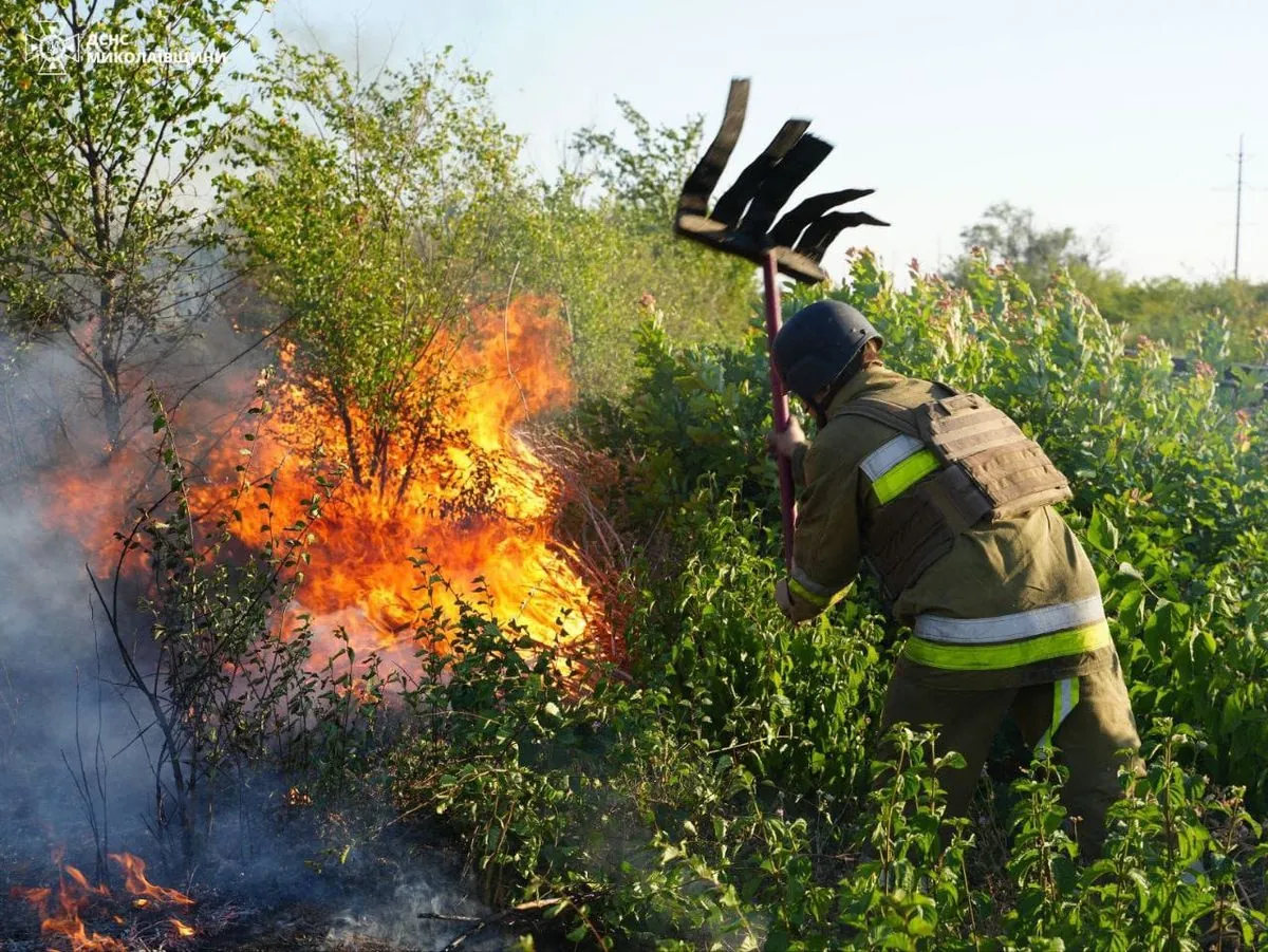 В Николаеве бушует масштабный пожар на 30 га: затруднено тушение из-за ВНП