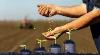 В этом году аграрии Киевщины получили более 14,5 млрд грн кредитов на развитие хозяйств