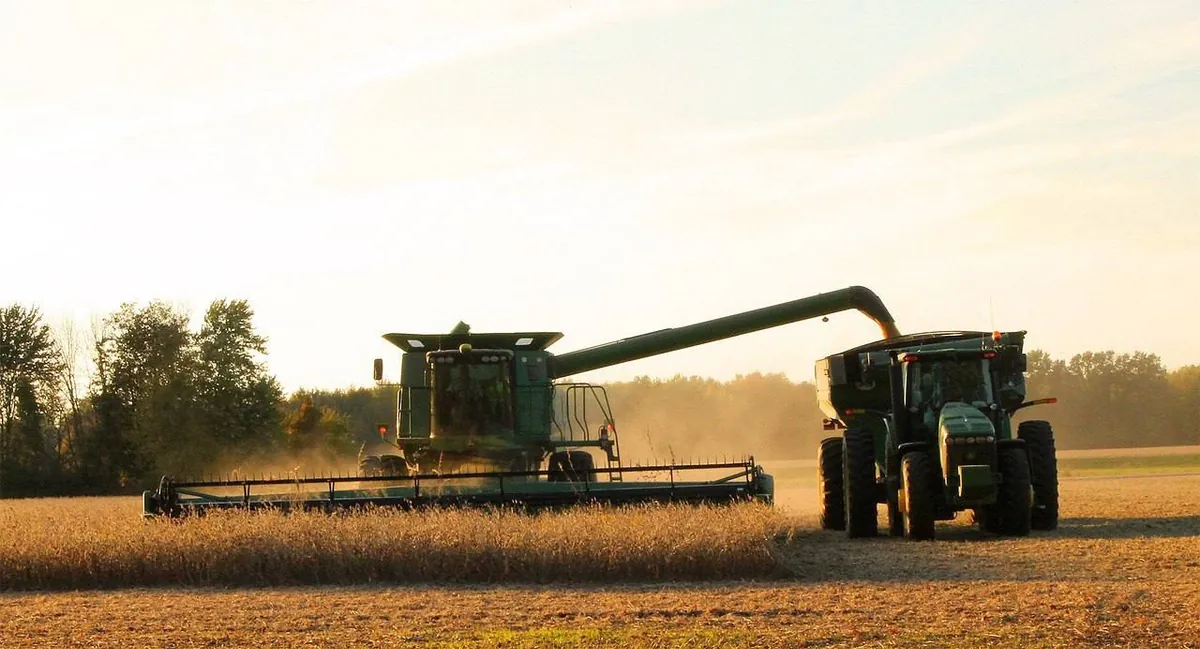 Жнива-2024: аграрії Одещини намолотили понад 2,5 млн тонн зерна 
