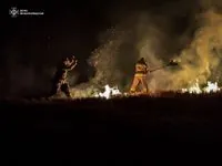 Майже 200 природних пожеж за добу: рятувальники застерегли щодо поводження з вогнем 