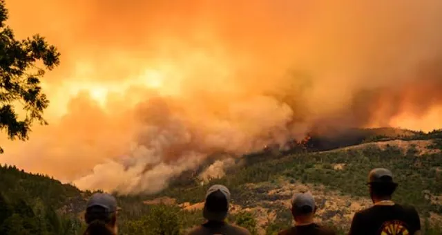 Из-за многочисленных лесных пожаров в Калифорнии тысячи людей вынуждены эвакуироваться