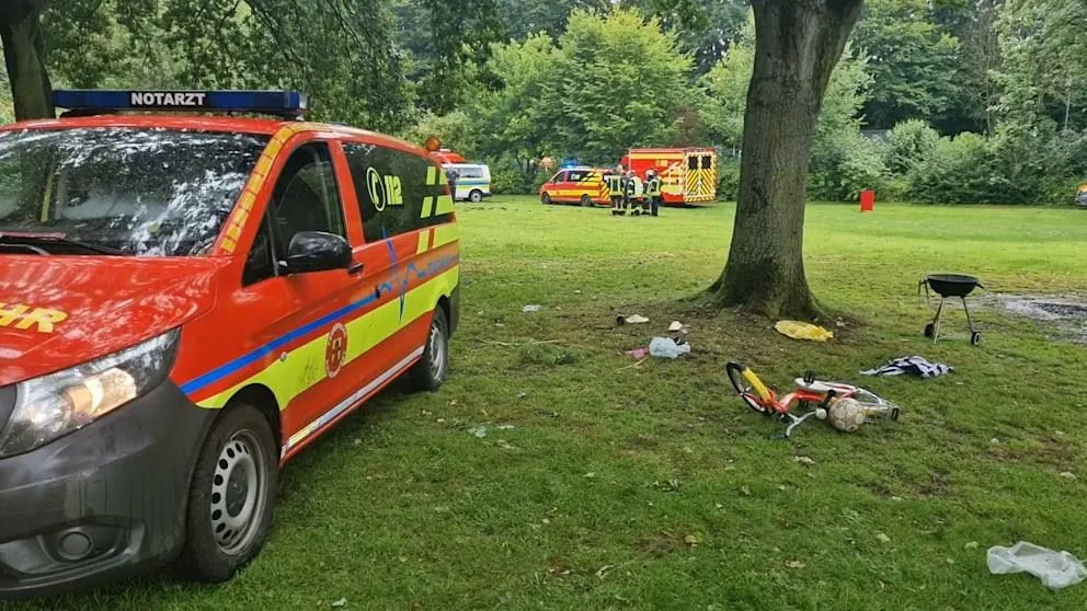 В Германии молния ударила в дерево: погиб ребенок