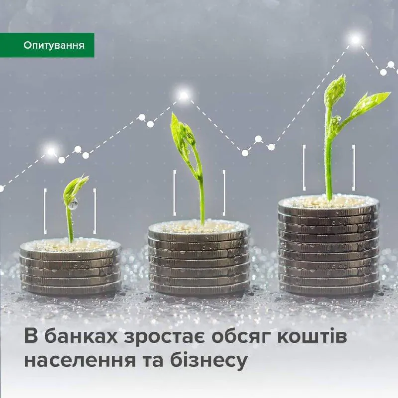 banki-zafiksirovali-pritok-sredstv-klientov-i-ozhidayut-prodolzheniya-etogo-trenda-nbu