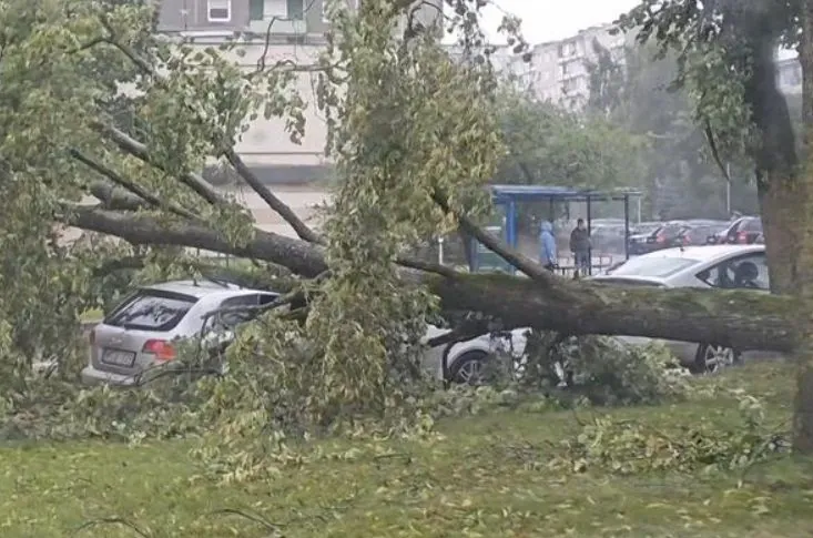 Tens of thousands of people in the Baltic States and Poland lost power due to storms