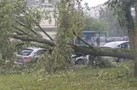 Tens of thousands of people in the Baltic States and Poland lost power due to storms