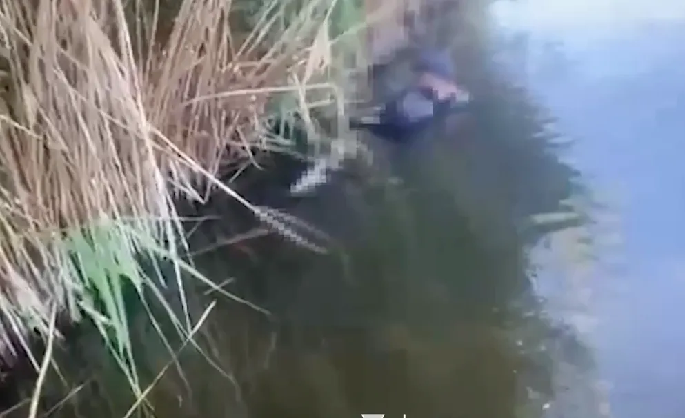 Found in the reeds: border guards detained a man who was trying to get to Moldova by swimming