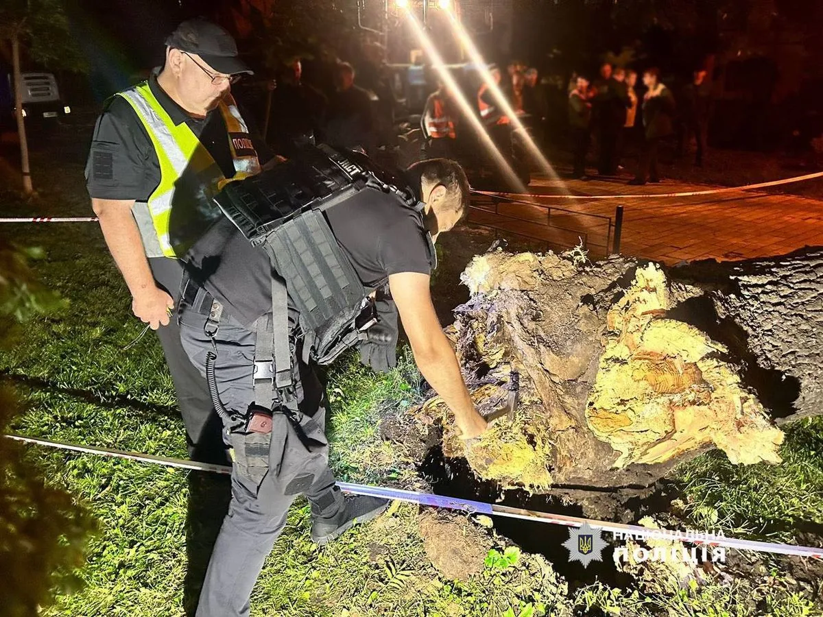 В Киеве в результате падения дерева в парке Шевченко погибла женщина