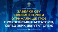 Восхваляли путина и поддерживали войну рф против Украины: трое пророссийских агитаторов получили тюремные сроки
