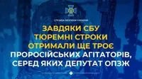 Вихваляли путіна та підтримували війну рф проти України: троє проросійських агітаторів отримали тюремні строки