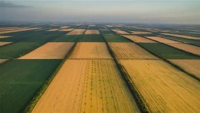 NABU tries to take away land from ATO soldiers that was previously squatted by NAAS