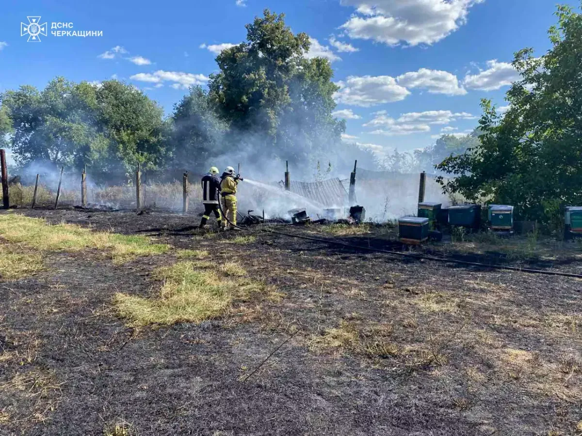 hives-with-bees-caught-fire-in-cherkasy-region-due-to-a-natural-fire