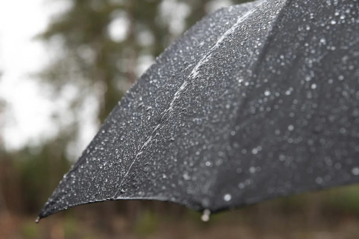 Rains and thunderstorms: weather forecast for today