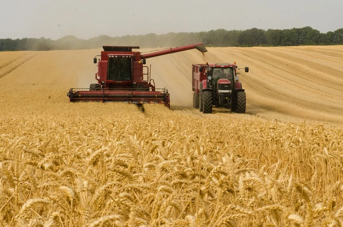 August 6: day of gratitude to Agricultural Workers, International Day "Doctors of the world for peace"