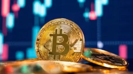 bitcoin-price-rose-to-dollar-55-thousand-amid-a-general-market-recovery-investing