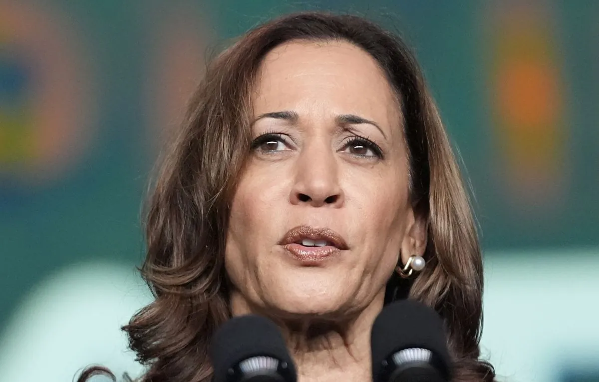 kamala-harris-officially-becomes-the-democratic-presidential-candidate