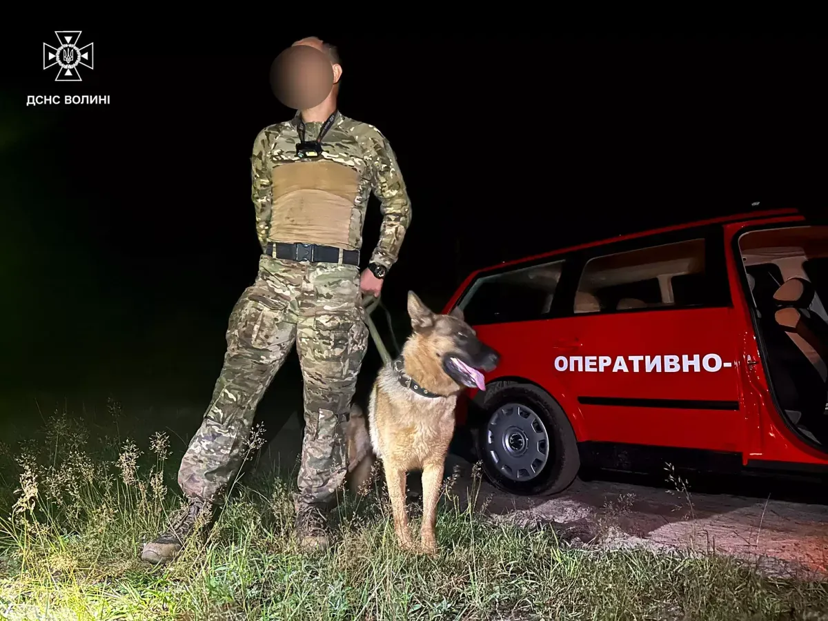 a-70-year-old-woman-got-lost-in-the-woods-in-volyn-she-was-found-at-midnight-after-several-hours-of-operation-with-a-drone-and-a-dog