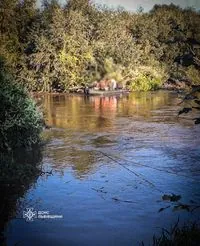 Three teenagers stranded on an island in the middle of a river rescued in Lviv region