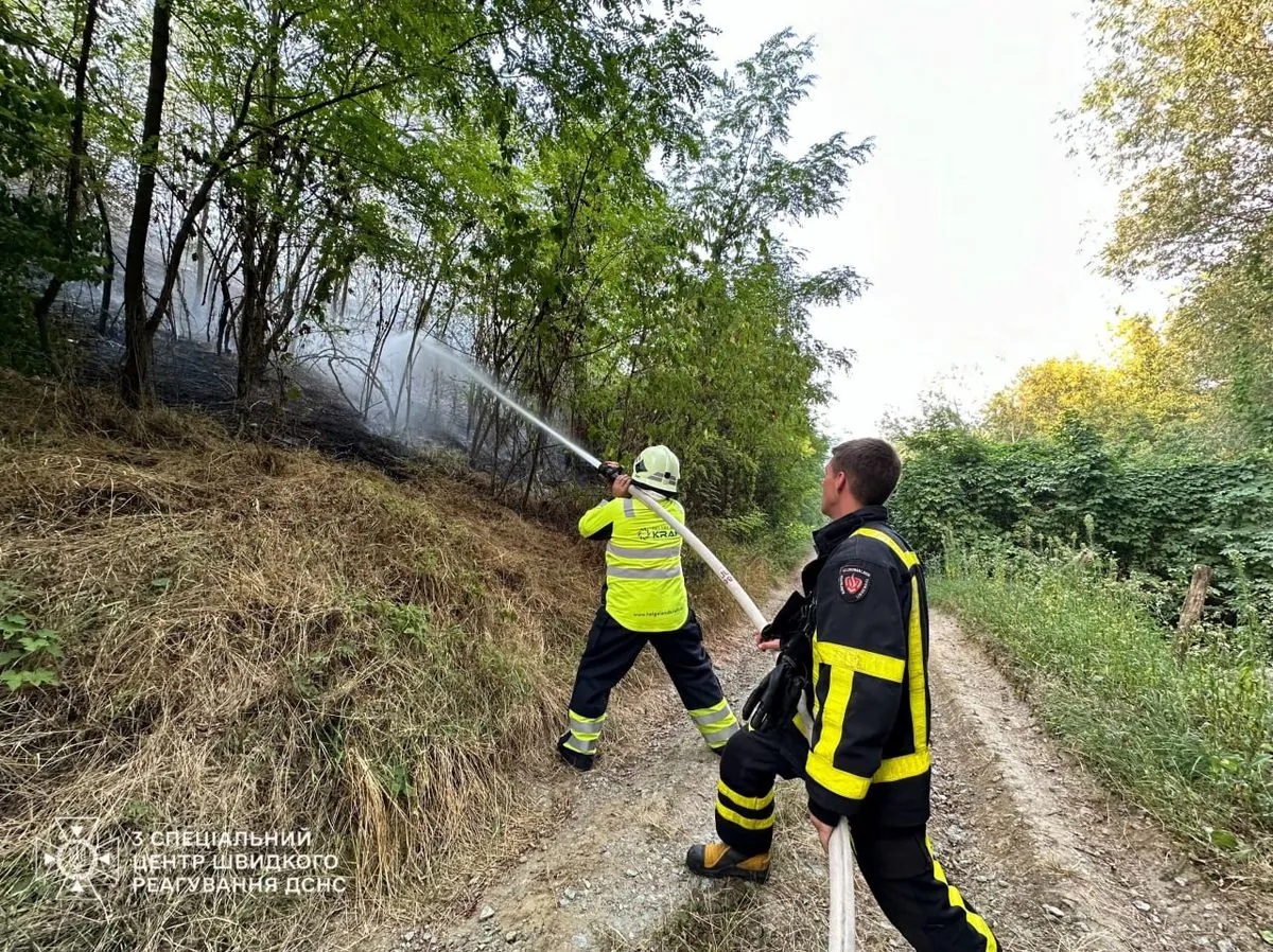 На Одещині велика природна пожежа зачепила кладовище