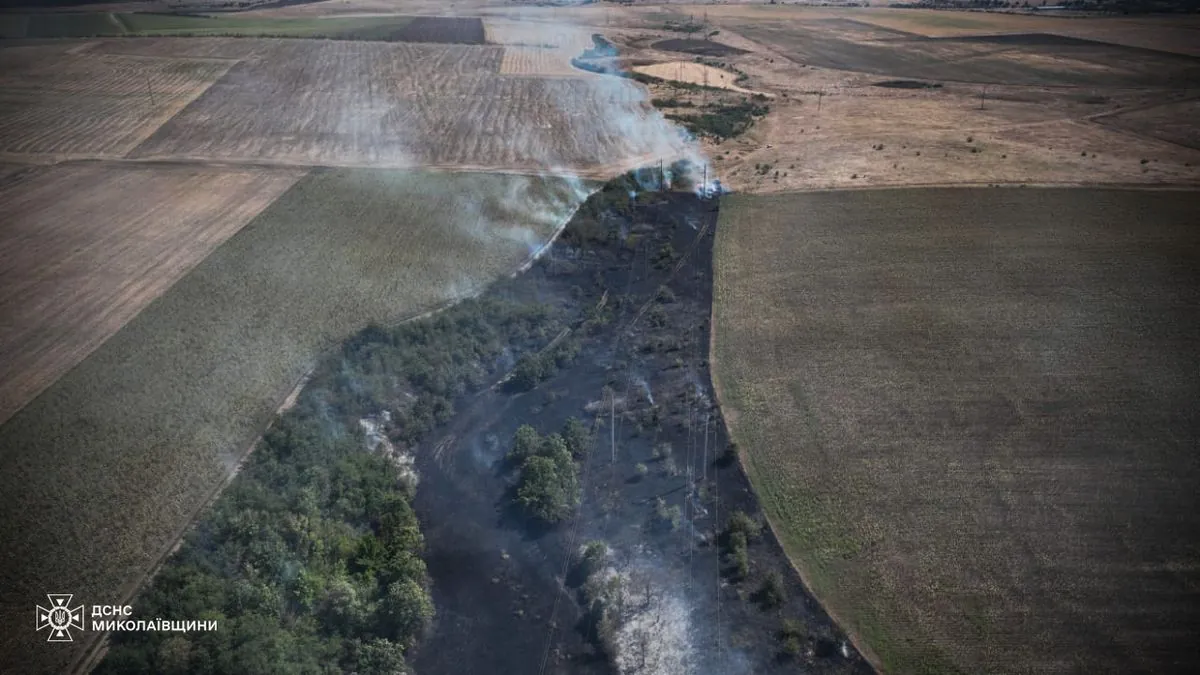 About 5 hectares of forest are burning: a large-scale fire broke out in Mykolaiv region