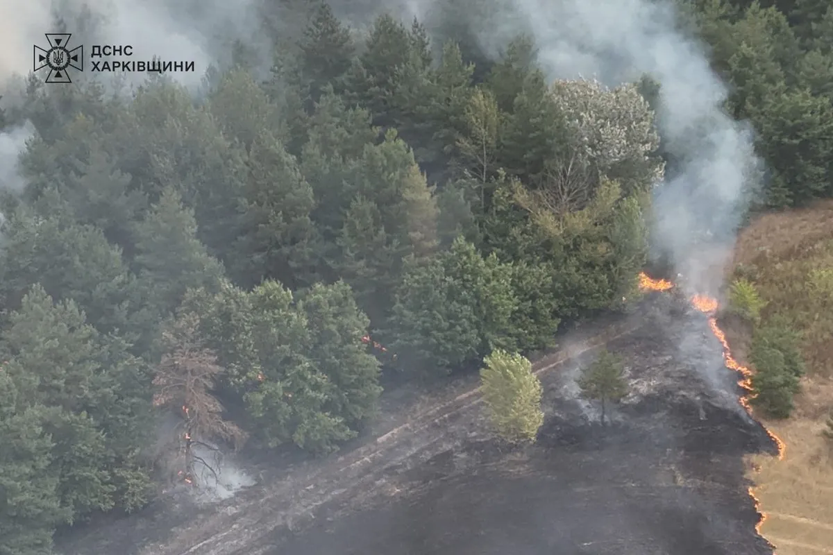 Large-scale forest fire near Balakliya: 30 hectares of forest are burning