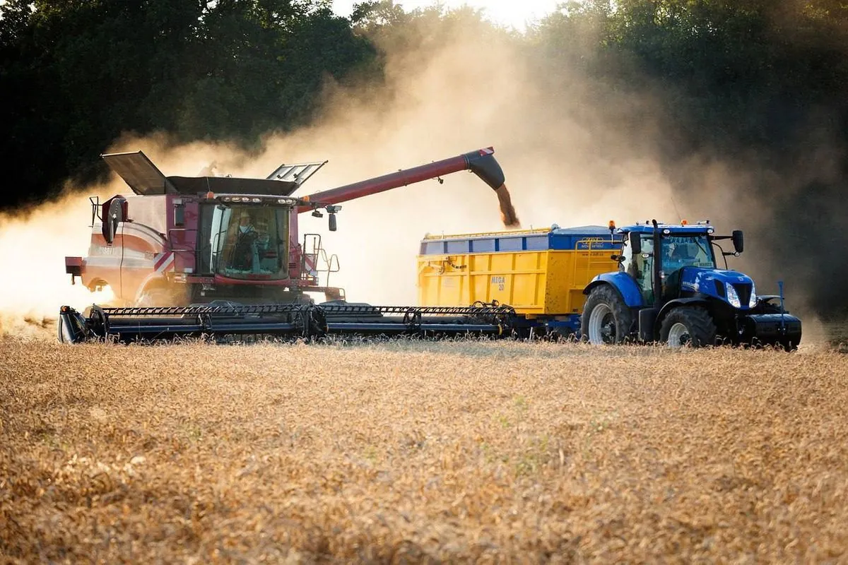 harvest-2024-agrarians-of-odesa-region-surpassed-last-years-figures