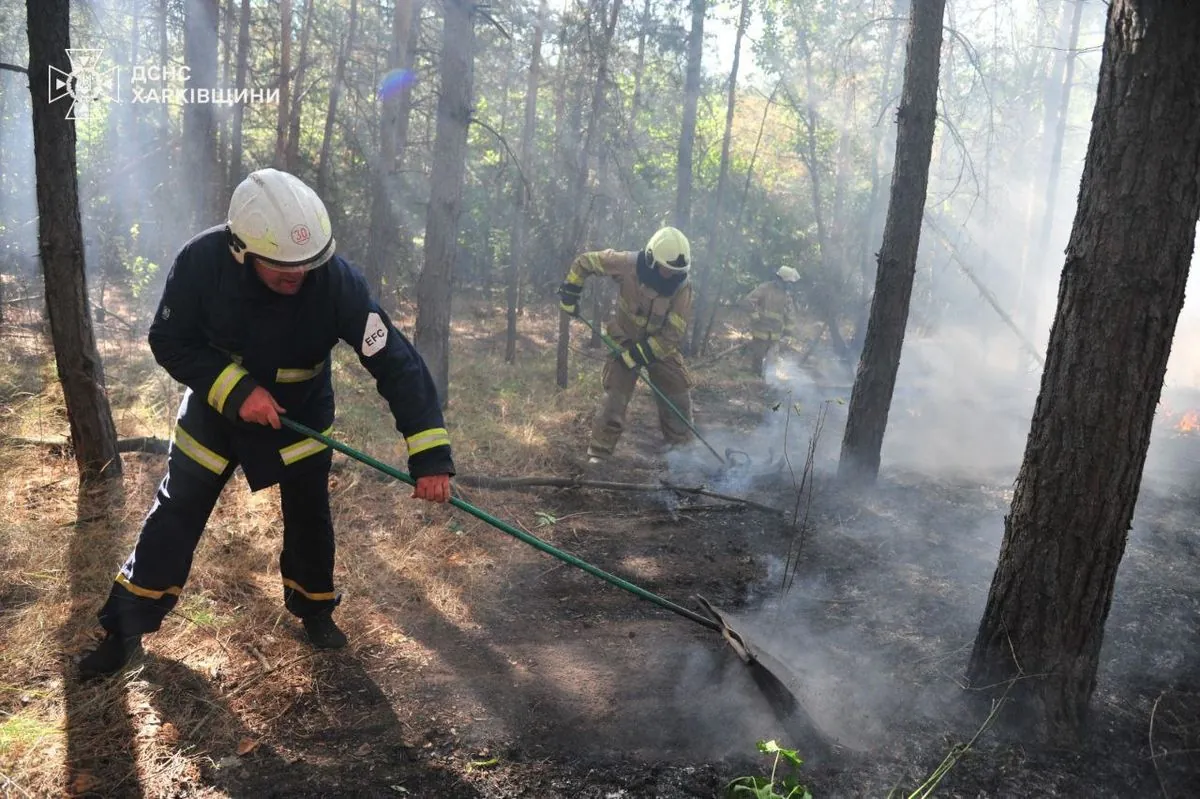 Extinguishing for the second day: large-scale forest fire was contained in the Kharkiv region