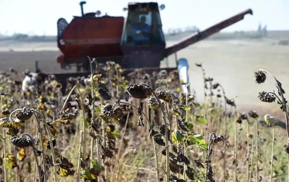 The expert told how the agricultural sector is fighting against the staff shortage