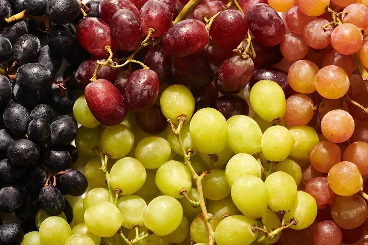 Parliament plans to consider European integration bill on grapes and viticulture products