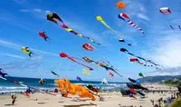 August 16: World Kite Day, Walnut Savior