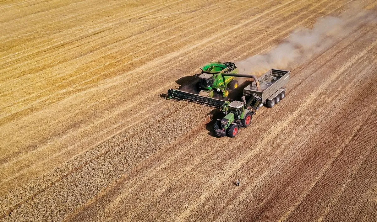 MHP has finished harvesting early grain