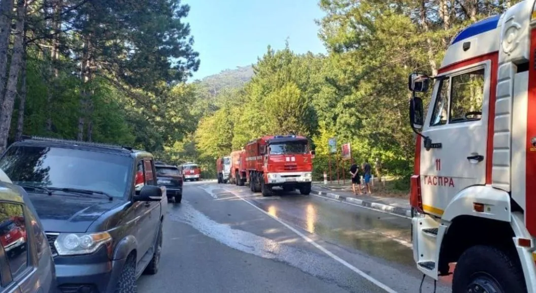 A forest fire broke out near Yalta on almost 3 hectares