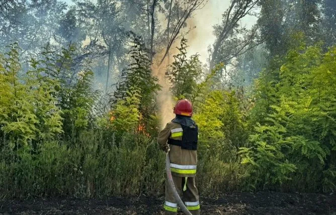 Rescuers in Mykolaiv region show the consequences of massive Russian shelling