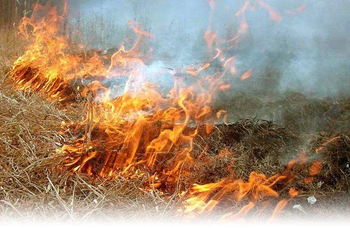 Hostile shelling causes fire in peat bogs in Chernihiv region