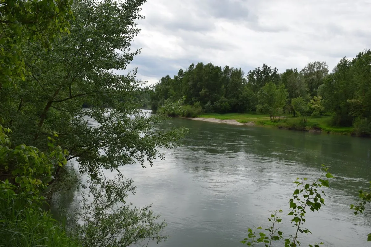 41st case: another drowned person found in the Tisza River