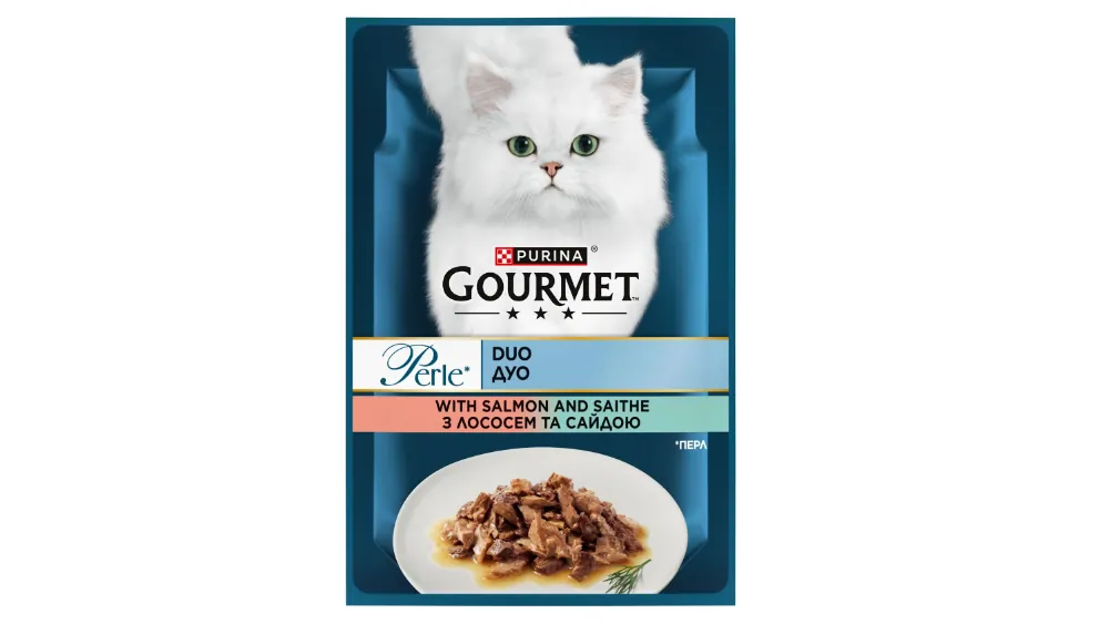 Proper nutrition for cats: choose wet food