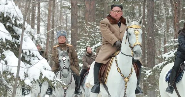 Kim Jong-un received a new batch of Oryol trotters from Russia