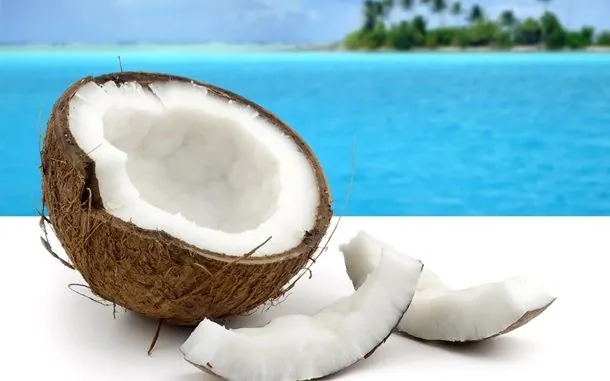 september-2-coconut-day-notary-day-in-ukraine