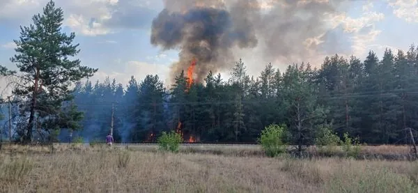 large-scale-fire-in-holy-mountains-national-park-destroys-1500-hectares-of-forest-fire-spreads-to-houses-ministry-of-environment