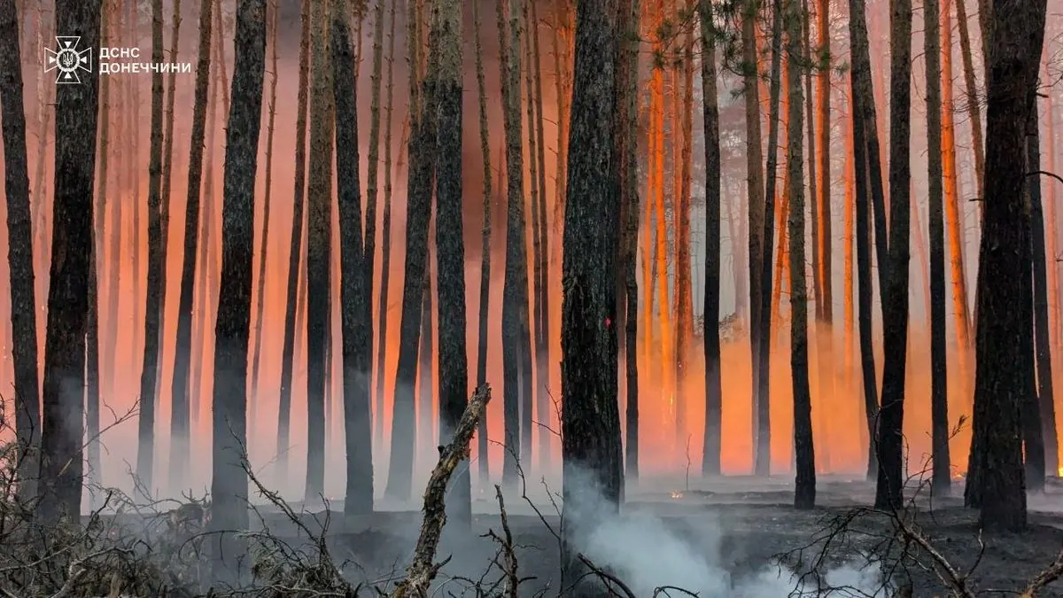 A large-scale forest fire has covered about 5 thousand hectares in Donetsk and Kharkiv regions