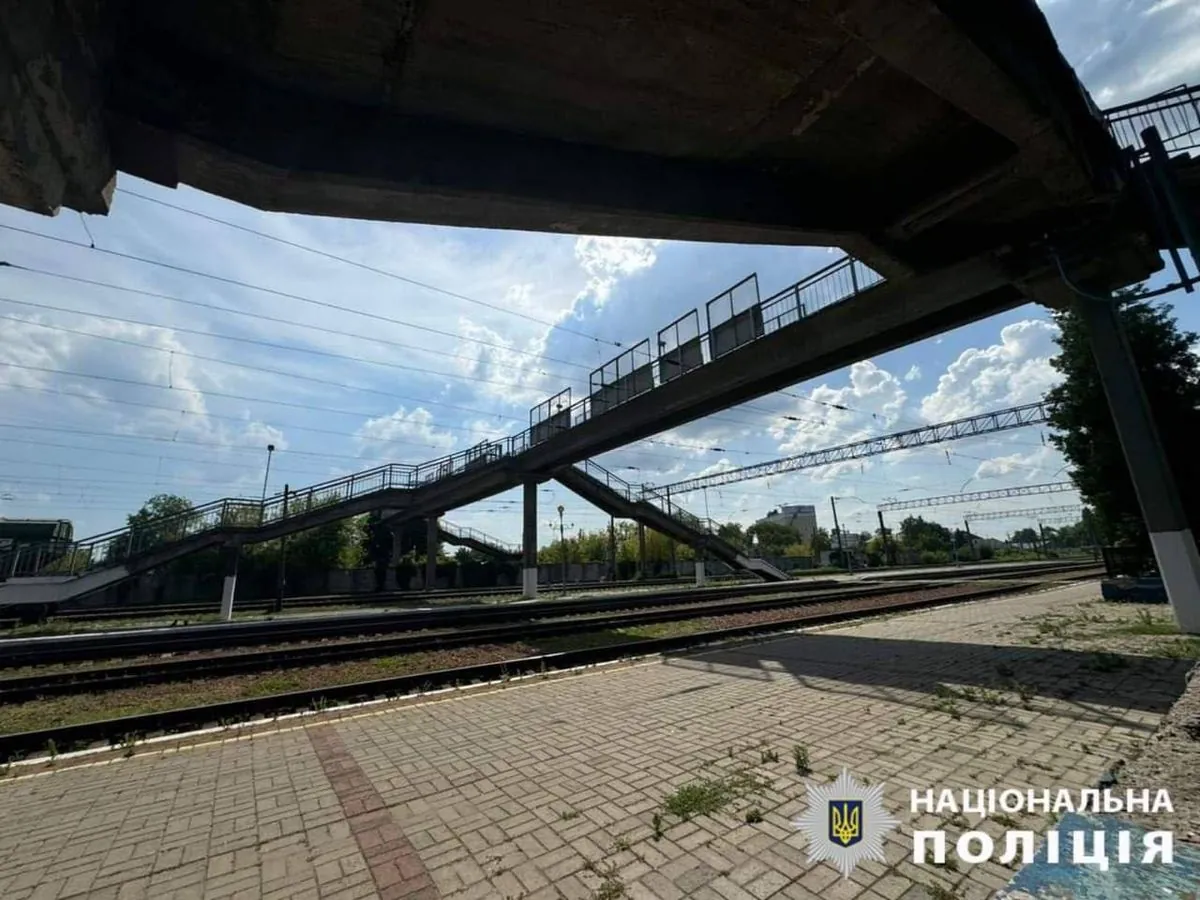 threw-a-dog-off-a-bridge-woman-in-kyiv-region-faces-up-to-8-years-in-prison