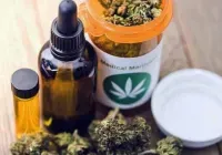 Ukraine approves rules for the transportation of medical cannabis