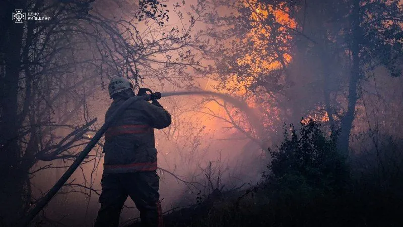 Since the beginning of the year, 38 thousand fires have occurred in Ukraine on the area of almost 43 thousand hectares - SES