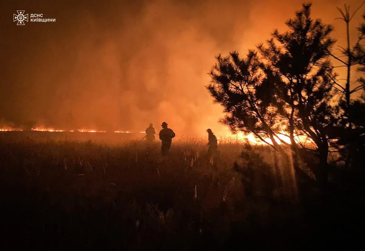 Peat and the exclusion zone are burning: the State Emergency Service told about the scale of fires in Kyiv region