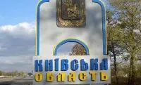 Киевщина отразила атаку вражеских дронов без попаданий и пострадавших: из-за падения обломков горела трава в двух районах