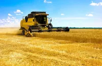 More than 35 million tons of new crops have already been harvested in Ukraine - Minagro