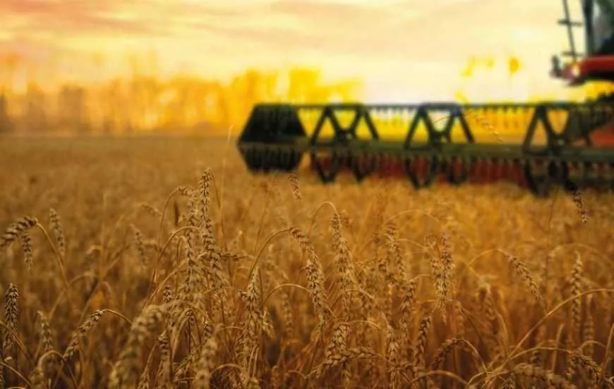 Agrarians of Kyiv region have already harvested 1 million 683 thousand tons of grain from the new harvest